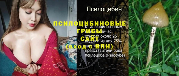 ALPHA-PVP Володарск