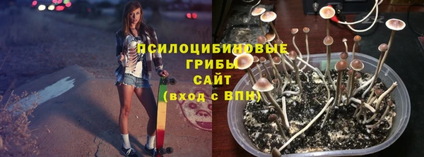 ALPHA PVP Волоколамск