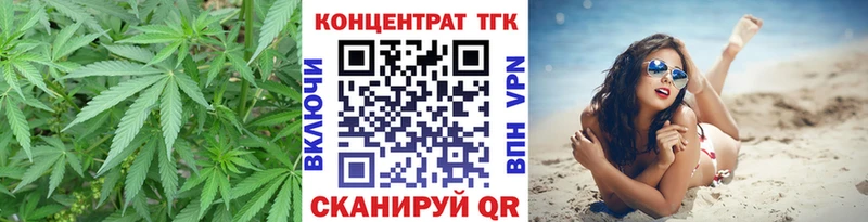 купить наркоту  Новороссийск  Дистиллят ТГК THC oil 