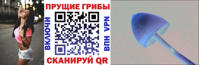 Галлюциногенные грибы прущие грибы  Новороссийск 